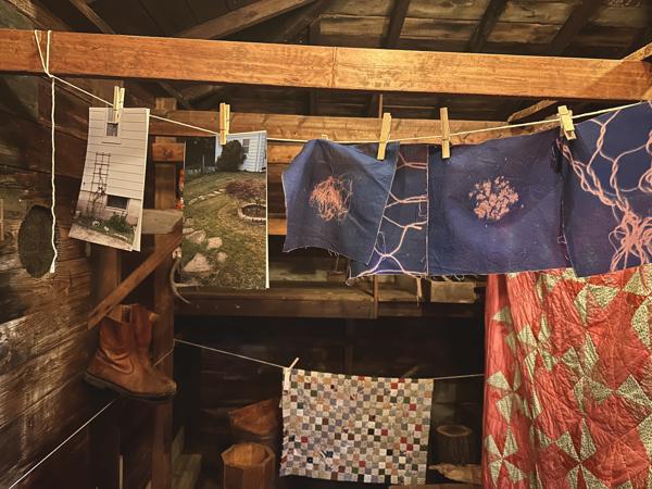 SHED SHOW